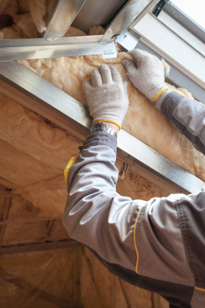 Professional Insulation Contractor in IN